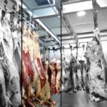 Buenas Prácticas de Manufactura enfocado a la Industria Cárnica - 10 horas