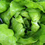 Inocuidad Alimentaria HACCP